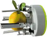 Underactuated Picking Gripper for Grasping and Cutting Citrus